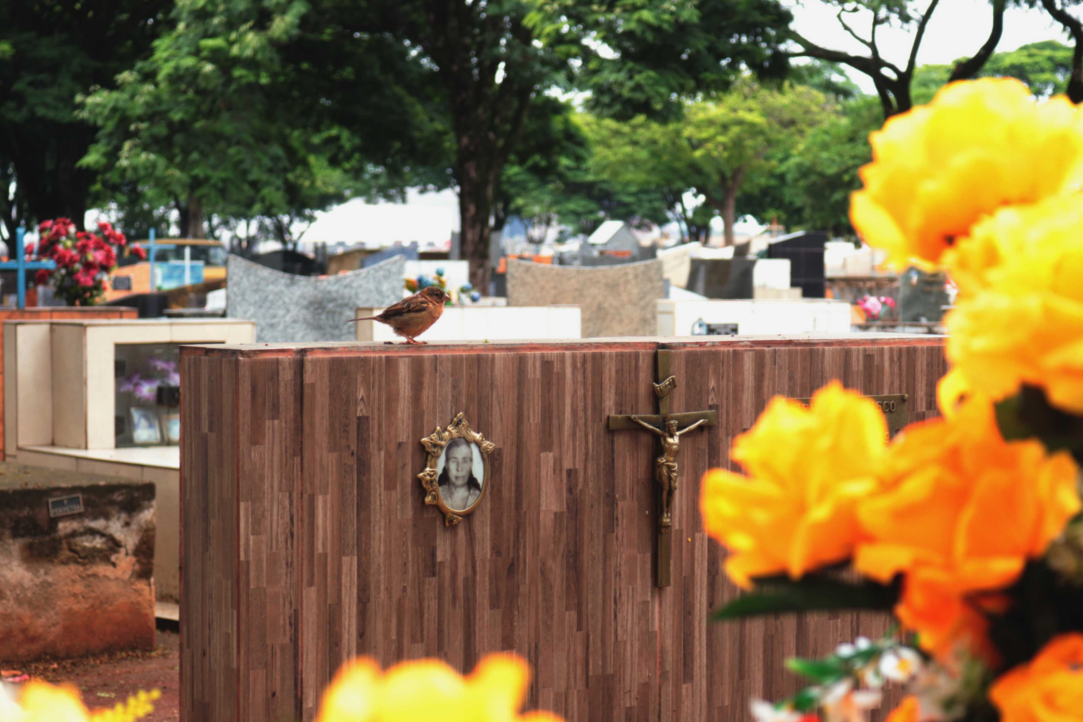 Dia de Finados: Cemitério Municipal